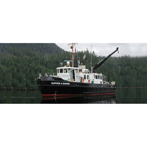 USCGC Bitt (WYTL-65613)  30 Inches L Ship Model - CM177 - Old Modern