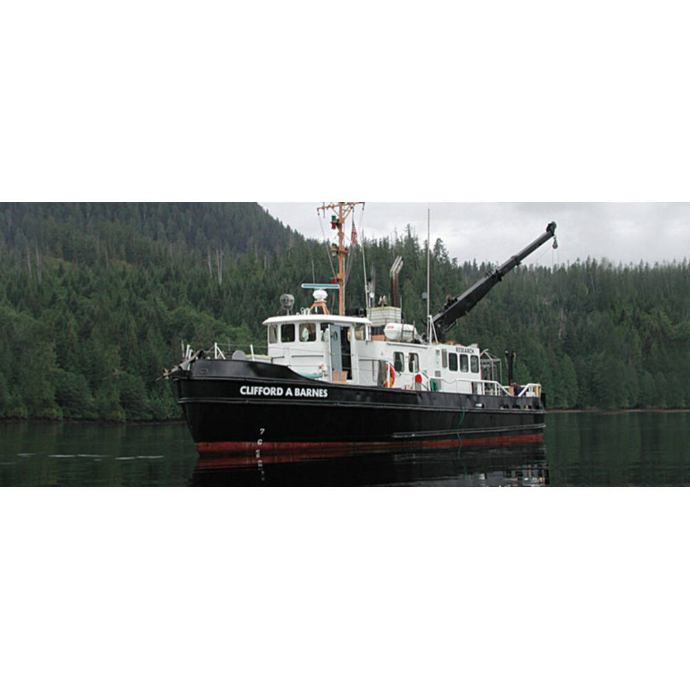 USCGC Bitt (WYTL-65613)  36 Inches L Ship Model - CM296 - Old Modern